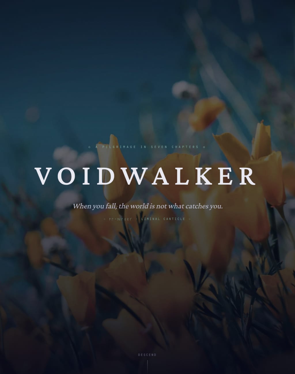 Voidwalker